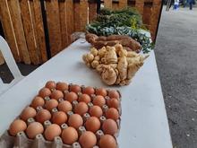 El &ldquo;Petronio &Aacute;lvarez&rdquo;, un festival que mueve corazones