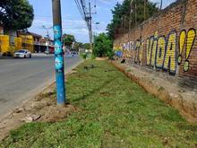 Este a&ntilde;o se recuperaron 50 espacios p&uacute;blicos de arrojo clandestino de residuos s&oacute;lidos