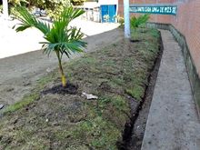 Este a&ntilde;o se recuperaron 50 espacios p&uacute;blicos de arrojo clandestino de residuos s&oacute;lidos