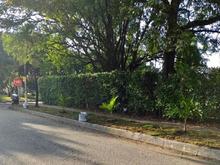 Este a&ntilde;o se recuperaron 50 espacios p&uacute;blicos de arrojo clandestino de residuos s&oacute;lidos