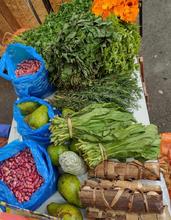 Viva la magia del Petronio en su &uacute;ltimo d&iacute;a