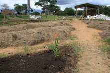 Un malec&oacute;n fructuoso de amor en el r&iacute;o Cauca