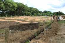 Un malec&oacute;n fructuoso de amor en el r&iacute;o Cauca