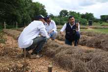 Un malec&oacute;n fructuoso de amor en el r&iacute;o Cauca