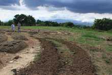 Un malec&oacute;n fructuoso de amor en el r&iacute;o Cauca