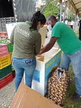 La cultura ambiental se toma el Festival Petronio &Aacute;lvarez