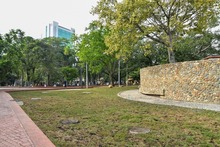 Dagma aporta un importante legado ambiental al Parque Central R&iacute;o Cali