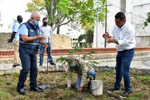 Dagma aporta un importante legado ambiental al Parque Central R&iacute;o Cali