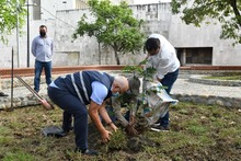 Dagma aporta un importante legado ambiental al Parque Central R&iacute;o Cali