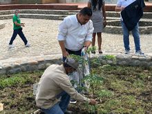 Dagma aporta un importante legado ambiental al Parque Central R&iacute;o Cali