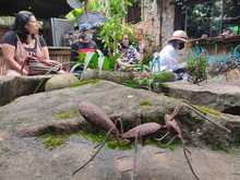Minciencias reconoce a la Fundaci&oacute;n Andoke como centro de ciencia
