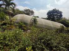 Minciencias reconoce a la Fundaci&oacute;n Andoke como centro de ciencia