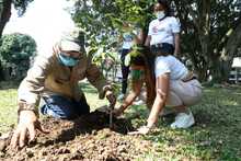 Los &aacute;rboles urbanos son el patrimonio ambiental de la ciudad  