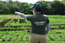 Laberinto para polinizadores, primera obra del Coraz&oacute;n de Pance