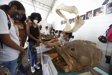 Ciudad Alegr&iacute;a, un espacio para disfrutar la Feria de Cali en Familia