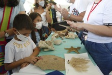 Ciudad Alegr&iacute;a, un espacio para disfrutar la Feria de Cali en Familia