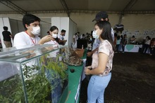 Ciudad Alegr&iacute;a, un espacio para disfrutar la Feria de Cali en Familia