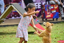 El segundo d&iacute;a de &lsquo;Ciudad Alegr&iacute;a&rsquo; est&aacute; cargado de actividad para toda la familia