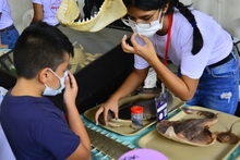 &iquest;Qui&eacute;n dijo que la Feria de Cali es solo rumba? Ac&eacute;rquese a &lsquo;Ciudad Alegr&iacute;a&rsquo;, un espacio para toda la familia