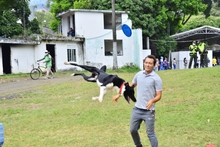 &iquest;Qui&eacute;n dijo que la Feria de Cali es solo rumba? Ac&eacute;rquese a &lsquo;Ciudad Alegr&iacute;a&rsquo;, un espacio para toda la familia