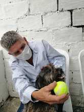 Atenci&oacute;n diferencial para habitantes de calle con animales de compa&ntilde;&iacute;a, uno de los ruteros para el 2022