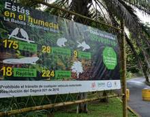 Reserva Ecol&oacute;gica Distrital Cuenca Media del R&iacute;o Lili, &aacute;rea protegida para Cali y su biodiversidad 