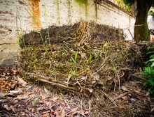 Pacas Digestoras Silva estrategia para aprovechar los residuos org&aacute;nicos