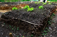 Pacas Digestoras Silva estrategia para aprovechar los residuos org&aacute;nicos