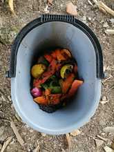 Pacas Digestoras Silva estrategia para aprovechar los residuos org&aacute;nicos