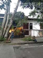 Aclaraciones sobre tala de &aacute;rboles en el barrio Granada 