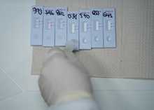 Puntos polivalentes y polifuncionales