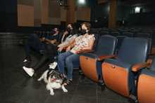 M&aacute;s de 25 espacios p&uacute;blicos culturales de Cali ser&aacute;n amigables con los animales