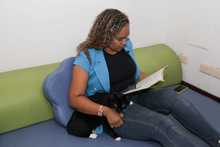 M&aacute;s de 25 espacios p&uacute;blicos culturales de Cali ser&aacute;n amigables con los animales