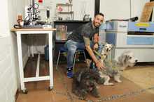 M&aacute;s de 25 espacios p&uacute;blicos culturales de Cali ser&aacute;n amigables con los animales