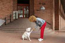 M&aacute;s de 25 espacios p&uacute;blicos culturales de Cali ser&aacute;n amigables con los animales