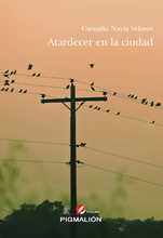 Lanzamiento de Cali, territorio literario. Siete libros de siete autores cale&ntilde;os