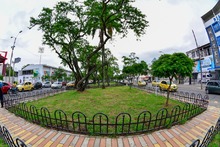 A buen paso avanza la transformaci&oacute;n del espacio p&uacute;blico en Cali 