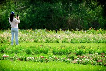 Con jardines, Cali le apuesta a la preservaci&oacute;n y la vida