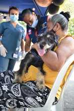 Cale&ntilde;os respondieron positivamente  a jornada interespecies 