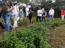 El Coraz&oacute;n de Pance debe equilibrar la conservaci&oacute;n y uso social    