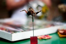 John L&oacute;pez, el artesano &lsquo;sin l&iacute;mites&rsquo; de la Loma de la Cruz