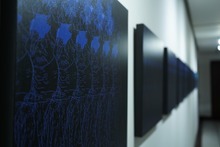 &lsquo;Ra&iacute;ces que nos unen&rsquo;, la exhibici&oacute;n que le rinde homenaje a la historia de la mujer afro