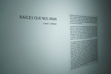 &lsquo;Ra&iacute;ces que nos unen&rsquo;, la exhibici&oacute;n que le rinde homenaje a la historia de la mujer afro