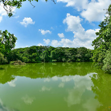 En Cali, los vecinos acompa&ntilde;an al Dagma en el cuidado y protecci&oacute;n de 61 humedales 