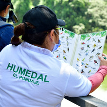 En Cali, los vecinos acompa&ntilde;an al Dagma en el cuidado y protecci&oacute;n de 61 humedales 