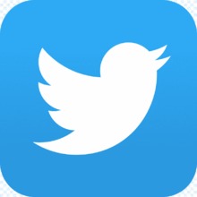 Icono Twitter
