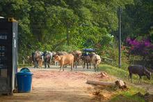 De la mano de 400 familias de Navarro, avanza proyecto movilizador &lsquo;Viviendas Rurales Productivas&rsquo;