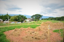 &ldquo;Con liderazgo barrial consolidamos el proyecto de Huertas Urbanas&rdquo;: alcalde Ospina