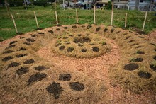 &ldquo;Con liderazgo barrial consolidamos el proyecto de Huertas Urbanas&rdquo;: alcalde Ospina