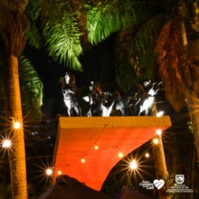 Con iluminaci&oacute;n de monumentos, Cali se une al D&iacute;a Mundial contra el C&aacute;ncer 